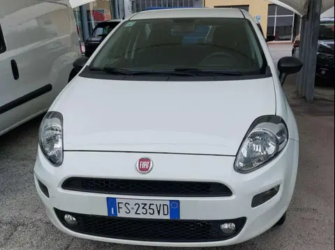 Used FIAT PUNTO  2018 Ad 