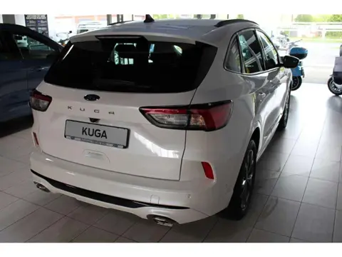 Annonce FORD KUGA Essence 2023 d'occasion 