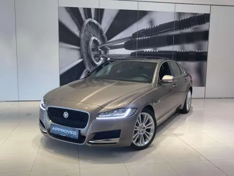 Annonce JAGUAR XF Diesel 2017 d'occasion 