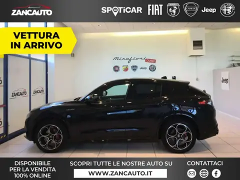 Annonce ALFA ROMEO STELVIO Diesel 2024 d'occasion 