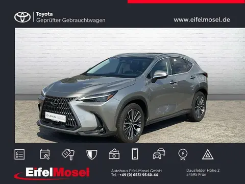 Used LEXUS NX Hybrid 2024 Ad 