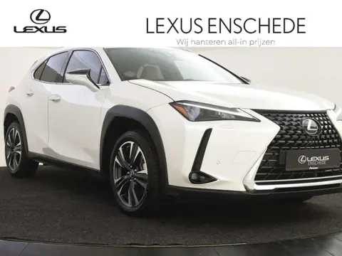 Annonce LEXUS UX Hybride 2024 d'occasion 