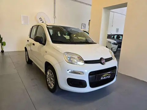 Annonce FIAT PANDA Essence 2018 d'occasion 