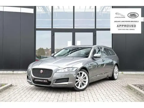 Annonce JAGUAR XF Diesel 2019 d'occasion 