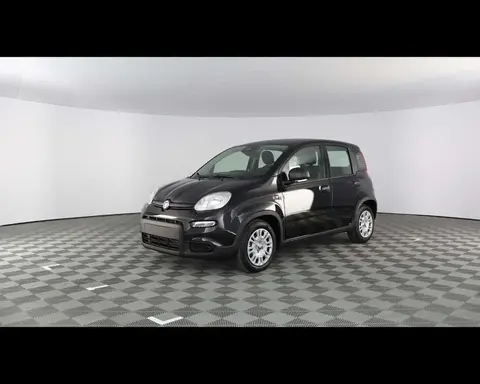 Used FIAT PANDA Hybrid 2024 Ad 