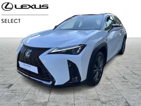 Annonce LEXUS UX Hybride 2024 d'occasion 