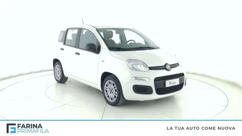 Used FIAT PANDA Hybrid 2021 Ad 