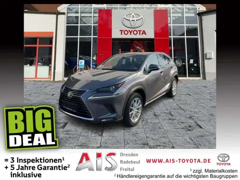 Used LEXUS NX Hybrid 2019 Ad 