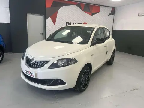 Used LANCIA YPSILON Hybrid 2024 Ad 