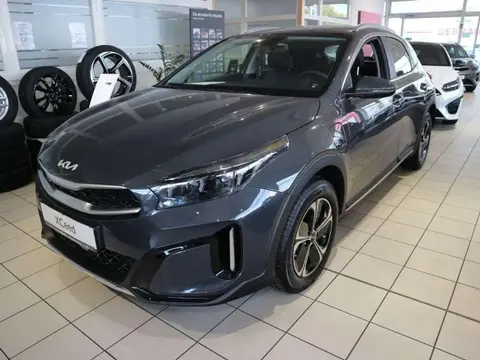 Used KIA XCEED Hybrid 2023 Ad 