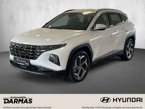 Annonce HYUNDAI TUCSON Hybride 2024 d'occasion 