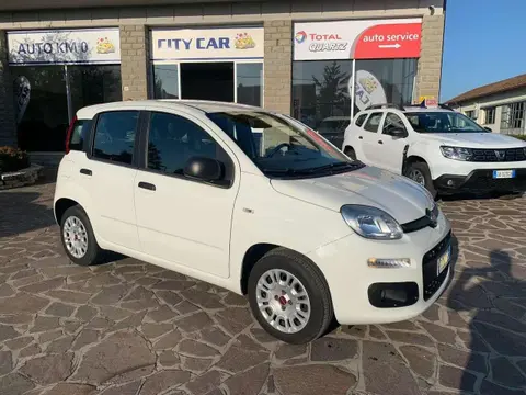 Annonce FIAT PANDA Essence 2019 d'occasion 