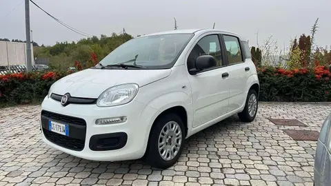 Used FIAT PANDA Petrol 2020 Ad 