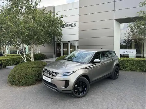 Used LAND ROVER RANGE ROVER EVOQUE Hybrid 2021 Ad 