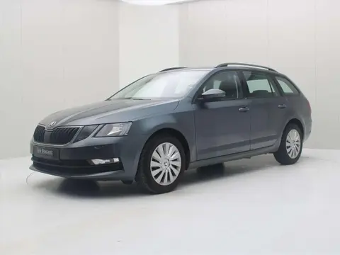 Annonce SKODA OCTAVIA Diesel 2019 d'occasion 