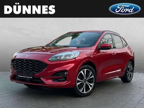 Annonce FORD KUGA Essence 2020 d'occasion 