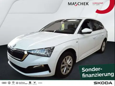 Annonce SKODA SCALA Essence 2024 d'occasion 