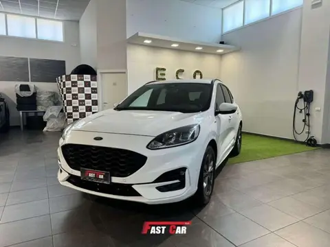 Used FORD KUGA Diesel 2021 Ad 