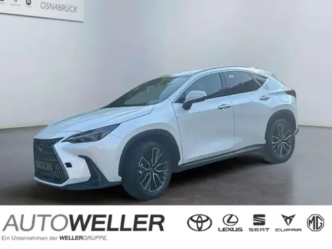 Annonce LEXUS NX Hybride 2024 d'occasion Allemagne