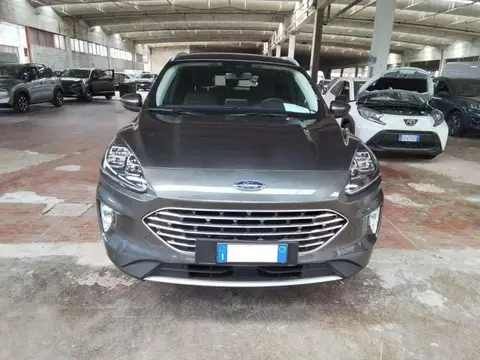 Annonce FORD KUGA Hybride 2023 d'occasion 