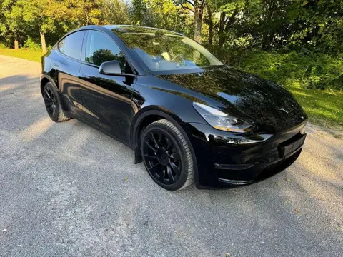 Used TESLA MODEL Y Electric 2023 Ad 