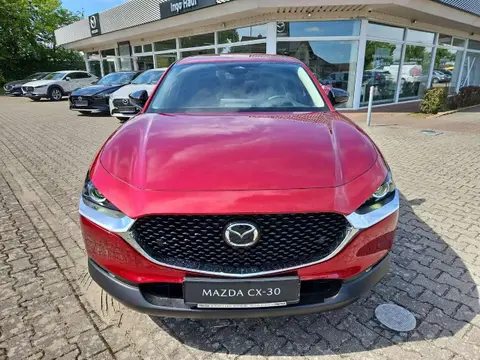 Annonce MAZDA CX-30 Hybride 2024 d'occasion 