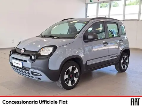 Annonce FIAT PANDA Diesel 2018 d'occasion 