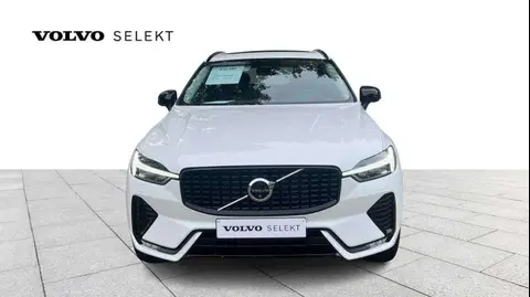 Annonce VOLVO XC60 Essence 2024 d'occasion 