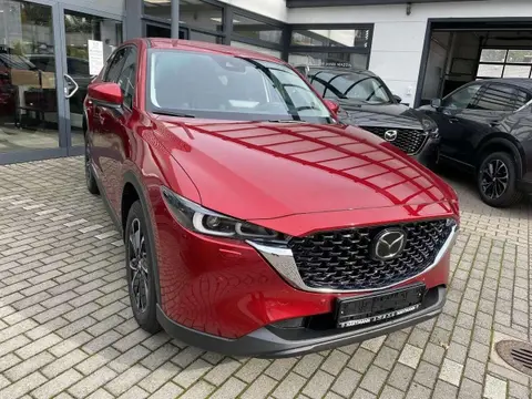 Annonce MAZDA CX-5 Essence 2024 d'occasion 