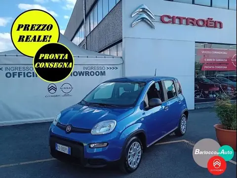 Used FIAT PANDA Hybrid 2024 Ad 