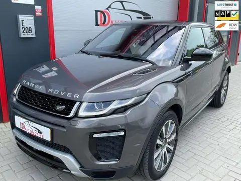 Annonce LAND ROVER RANGE ROVER EVOQUE Diesel 2017 d'occasion 