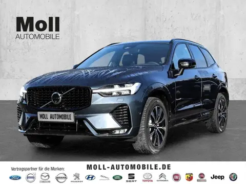 Annonce VOLVO XC60 Diesel 2024 d'occasion 