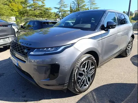 Used LAND ROVER RANGE ROVER EVOQUE Hybrid 2019 Ad 