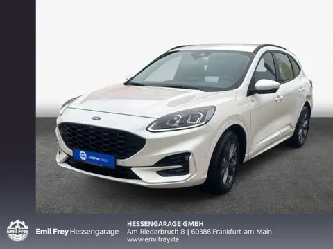 Annonce FORD KUGA Diesel 2023 d'occasion 