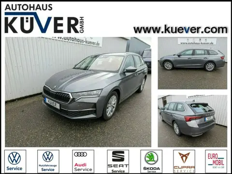 Used SKODA OCTAVIA Petrol 2024 Ad 