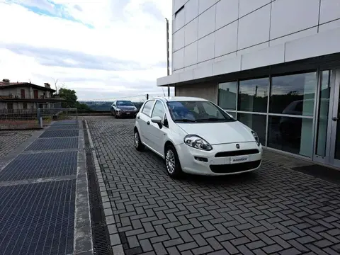 Used FIAT PUNTO Petrol 2016 Ad 