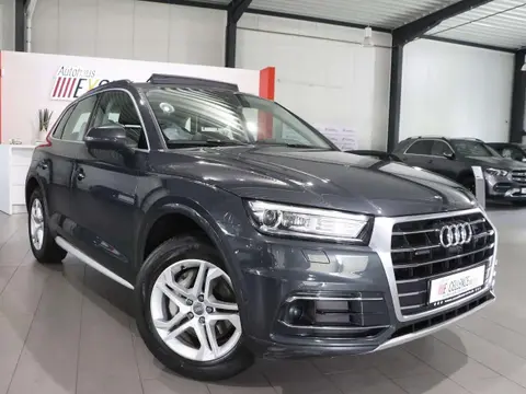 Used AUDI Q5 Diesel 2020 Ad 