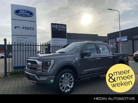 Used FORD F150 Petrol 2024 Ad 