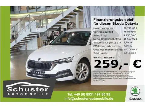 Used SKODA OCTAVIA Diesel 2021 Ad 