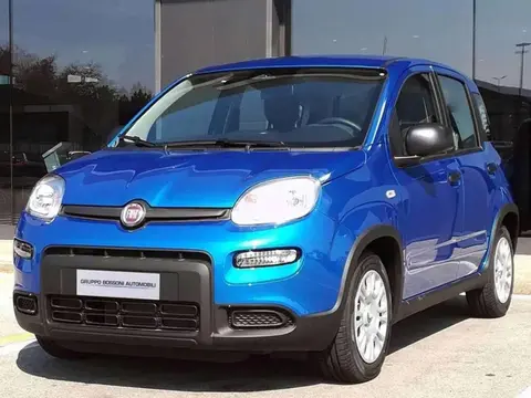 Annonce FIAT PANDA Hybride 2024 d'occasion 