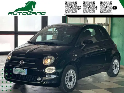 Used FIAT 500 Hybrid 2023 Ad 