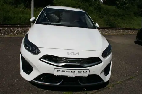 Annonce KIA CEED Hybride 2024 d'occasion 