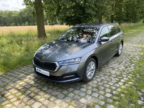 Annonce SKODA OCTAVIA Essence 2024 d'occasion 