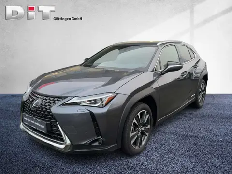 Annonce LEXUS UX Hybride 2022 d'occasion 