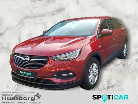 Used OPEL GRANDLAND Petrol 2021 Ad 