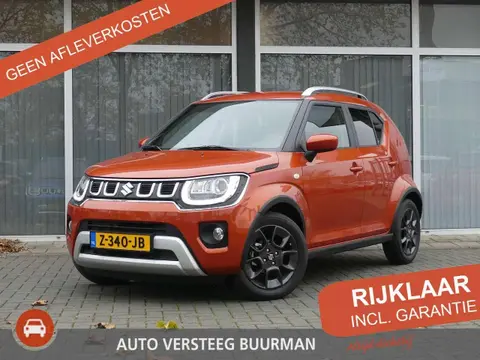 Annonce SUZUKI IGNIS Hybride 2024 d'occasion 