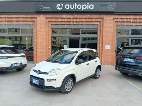 Annonce FIAT PANDA Hybride 2024 d'occasion 