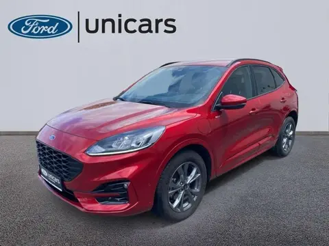 Used FORD KUGA Not specified 2023 Ad 