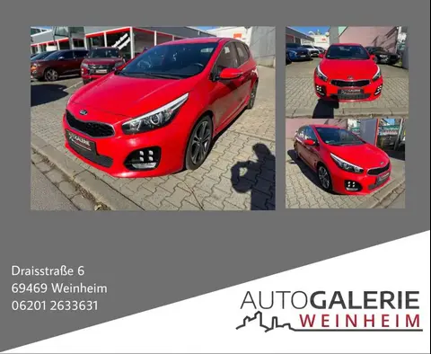 Used KIA CEED Petrol 2016 Ad 