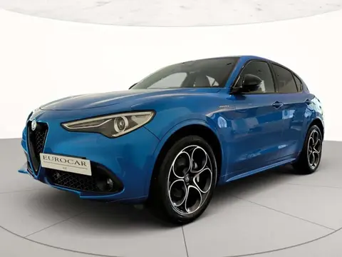 Annonce ALFA ROMEO STELVIO Diesel 2022 d'occasion 